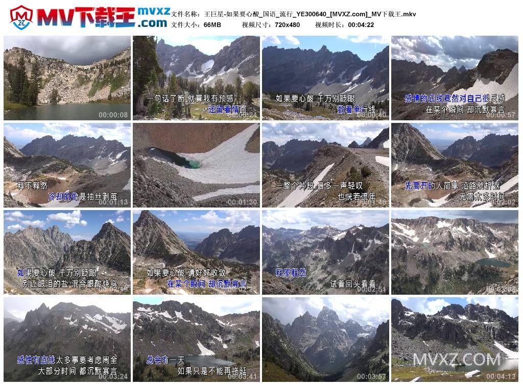 王巨星-如果要心酸_国语_流行_YE300640